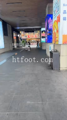 072423ptshgdg1hmpzz04f.jpg