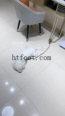 190259o6r8r7cfwm00rw1a.jpg