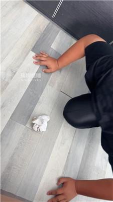 bmgtdcmdhaa.jpg