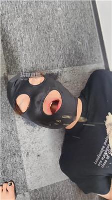 5wigwerfiii.jpg