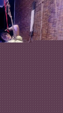 204217viv38xe9gg8xshy4.jpg