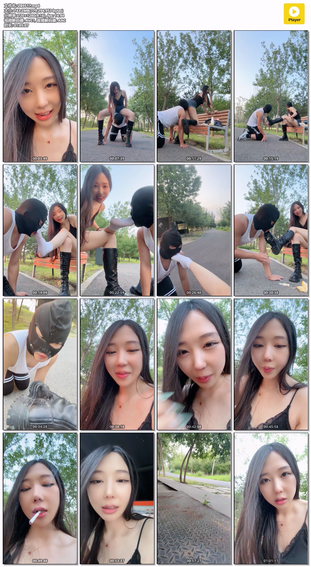 ZB9517.mp4.jpg