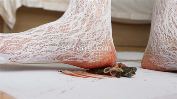 071327yaq04tt4tiqn91ex.jpg