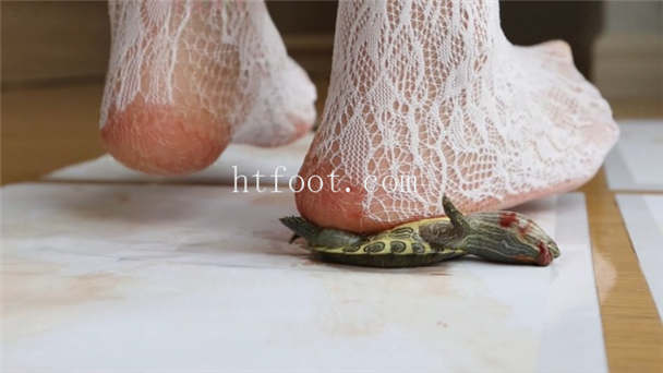 071325qfut16w8u1h6tcjf.jpg