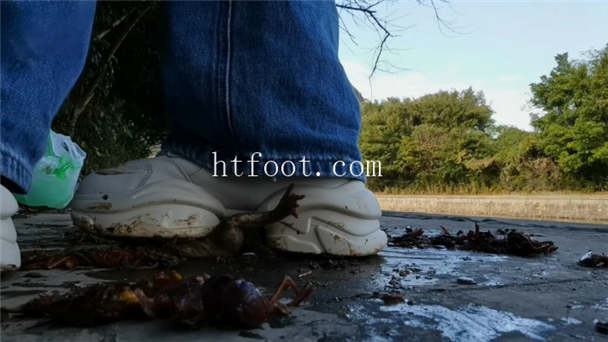 124139b9cywlwny929ecjt.jpg