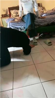 frxyljxuh0g.jpg