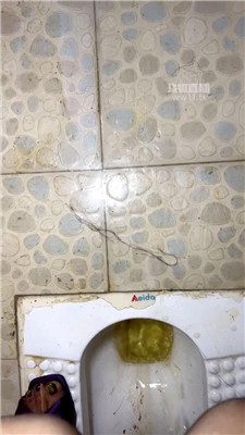 hhevwrbrq55.jpg
