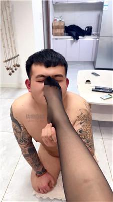 deezfzjcml0.jpg