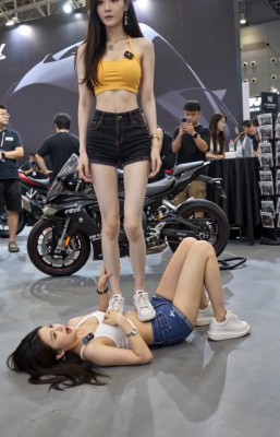 qty4lfbmjwt.jpg