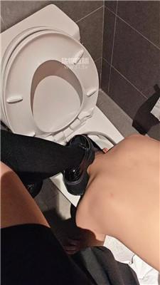 qph45pqcd13.jpg