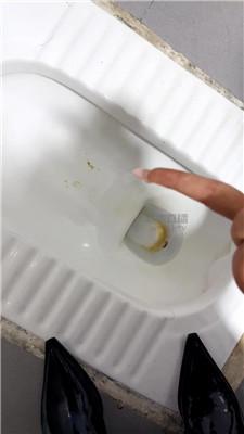 soz2zkcbvjq.jpg