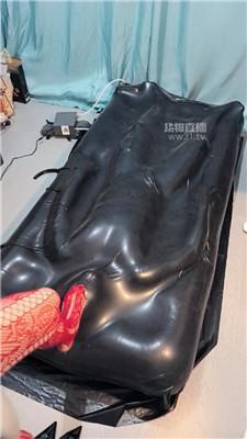 r5zaa1iibgh.jpg
