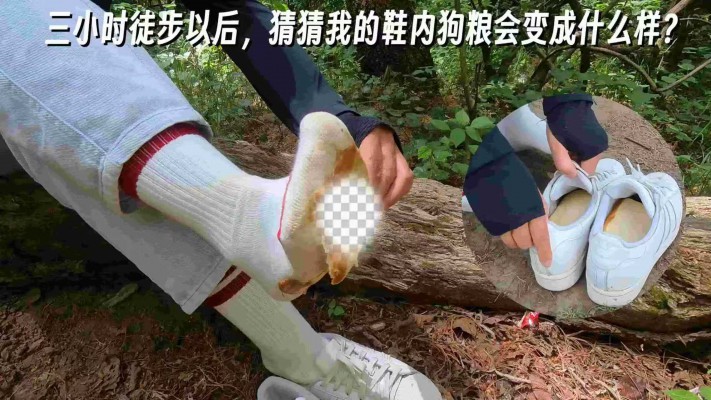 kzjpzmeng4h.jpg