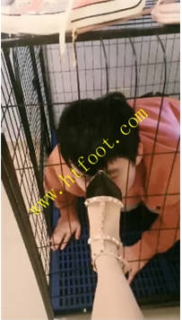 TL32737 陌初】圈养得狗子要听话60分钟