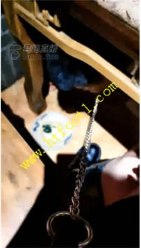 TL22248 猫神大人】给狗喂饭38分钟