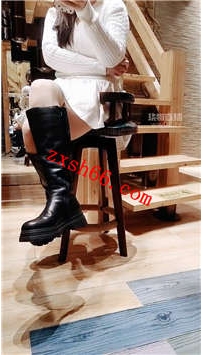 TLZB26095琳园长-长靴生活化玩狗清理皮靴除臭55分