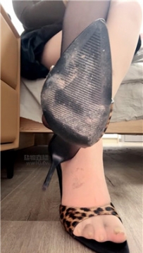 【第一视角】【咬猫】诅咒司马跪下忏悔    260212-18