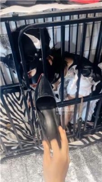 【调教视频】【倪小主】狗笼囚禁母畜 JS250725-42