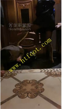 TL32514 文文】三个小姐姐贼狠41分钟