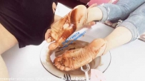 16686 江南倩儿- 好吃的巧克力玉足蛋糕