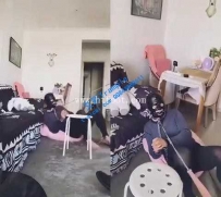 19089【美离子S】圣水专场羞辱，遛狗钻胯（双上帝视角）