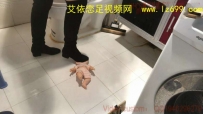 5311 婧児小主S120A 邪恶的母亲II 踩死自己的儿子踏着他的尸体寻找新的未来 CRUSH剧情大作