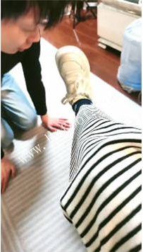 ZB2424 魔仙集中地】家里的宠物60分钟