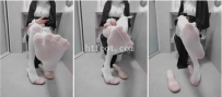 AC2280 修女的厕奴训练
