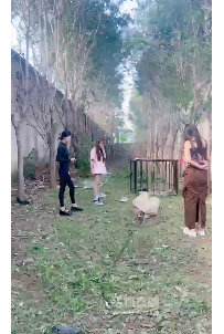 ZB10222 沅芷】户外虐打33分钟