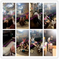 虞姬S酒吧女M一直调到休息室