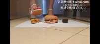 34418  新人柠檬可爱凉鞋制作三层汉堡狗粮