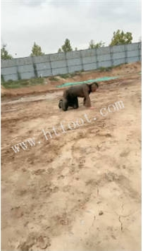 TL50619 辣姐】k9户外泥地46分钟