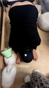 【调教视频】【素人挖掘机】店内跪着清理被羞辱 JS260105-31