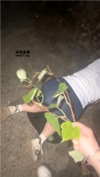 【调教视频】【训犬师】户外犬化母畜【双视角版】 JS250503-28