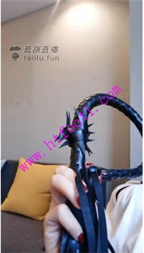 TL19263 妃妃S建构东西圣水虐他66分钟