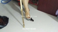 31968  高跟舞鞋狂踩小龙虾