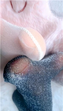 【第一视角】【乔乔在这里】C烂发情母畜    260226-22