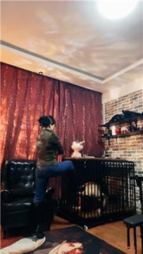 【调教视频】【冷颜】狗笼囚禁/长靴捂了一天的船袜气味辱/裸足狂舔 JS241226-18