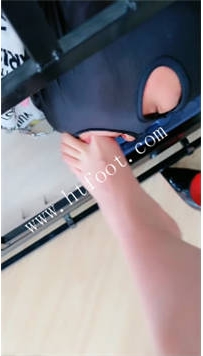 TL45677 缘彼大大】薅来一只小萌新49分钟