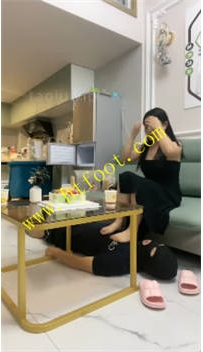 TL38287 伊诺】生活化狗32分钟
