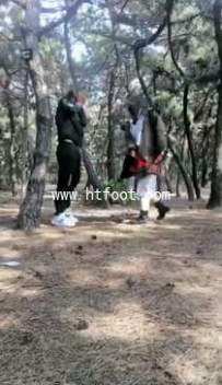 TL10894 维凌 课后小树林鞭打