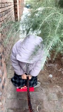 【调教视频】【海海】冰天雪地户外遛狗 JS251226-11