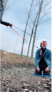 TL45203 古筝少女驯兽师】生活化の户外1--挑战寻狗骑乘『直接SS』轻度--档18分钟