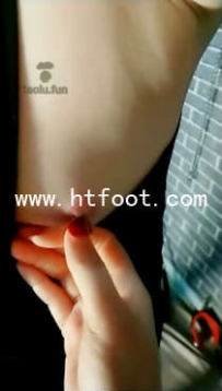 TL12480 天香百合 完全控制的玩物