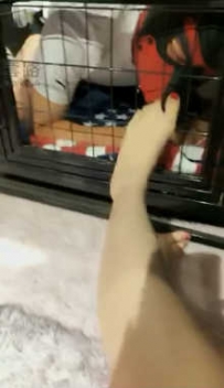 TL8213 弱水三千 小玩自家小公狗