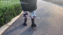 22823 萌棠工作室i 萌棠主公园走踩爆浆海棠果