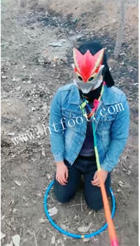 TL45197 古筝少女驯兽师】生活化の户外挑战寻狗骑乘『直接SS』轻度22分钟