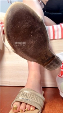 【第一视角】【咬猫】脏鞋踩死阳伟鞋刷    260314-12