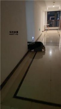 【调教视频】【婉纱】转胯狗爬-小白鞋白袜虐【双视角版】 bf53557