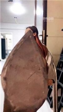 【调教视频】【暴躁七七】地下刑房初体验 JS260304-32